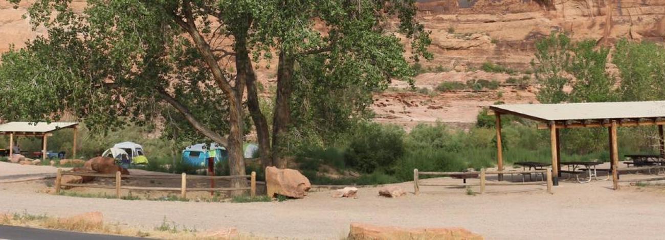 Group Site A & B at the Goose Island Campground including shade shelters, large cottonwood tree, and red rock cliffs behind.