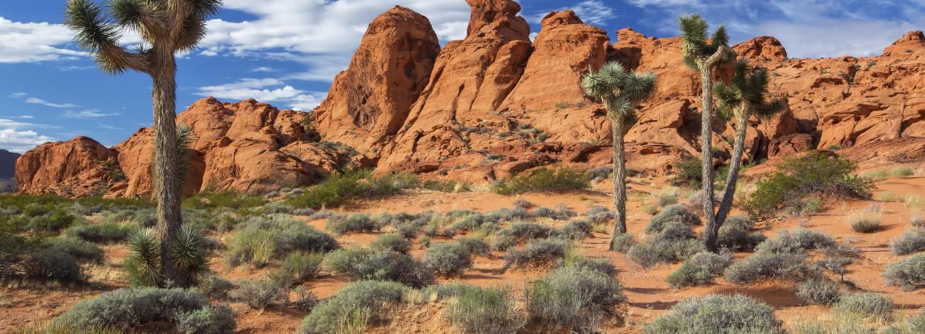 Gold Butte