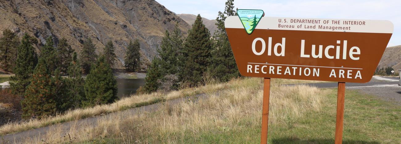Old Lucile Sign