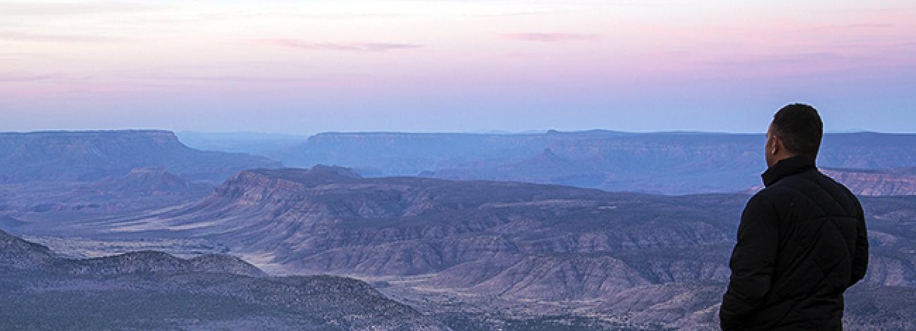 A man looks out at the Grand Canyon. The sky is pink and blue.