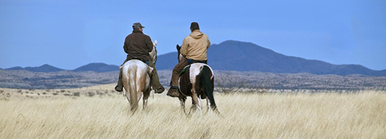 two riders on horseback in a field of tan grasses with mountains in the distance