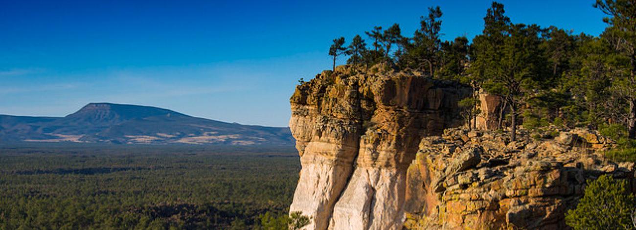 The sandstone mesas of the Cebolla Wilderness.