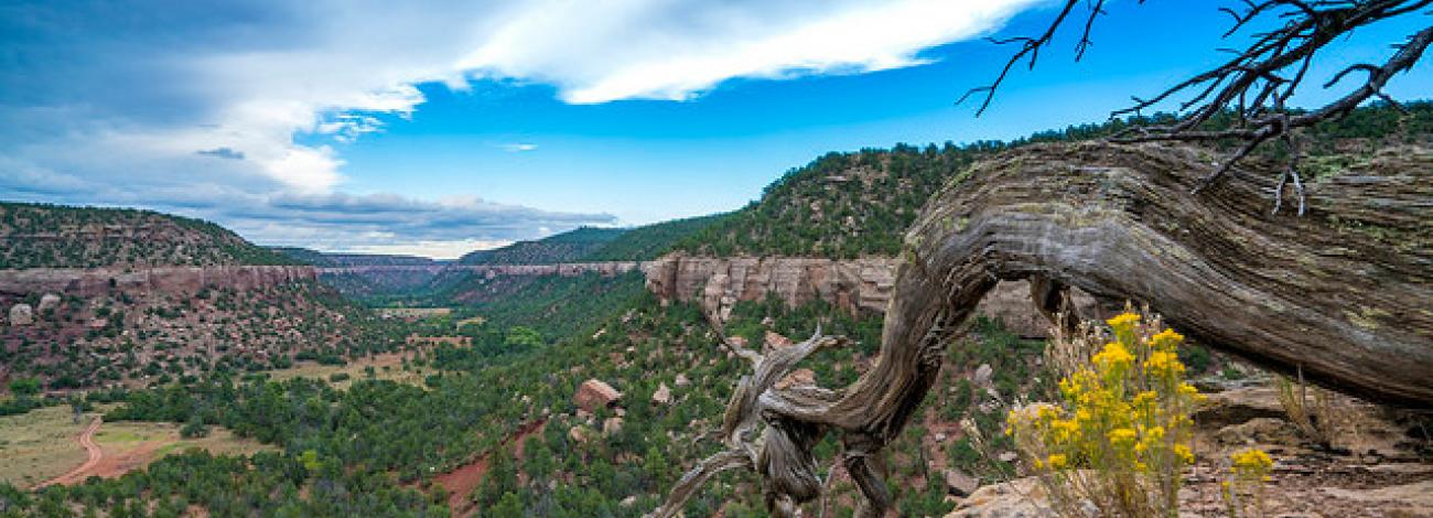 The Sabinoso Wilderness in northeastern New Mexico.