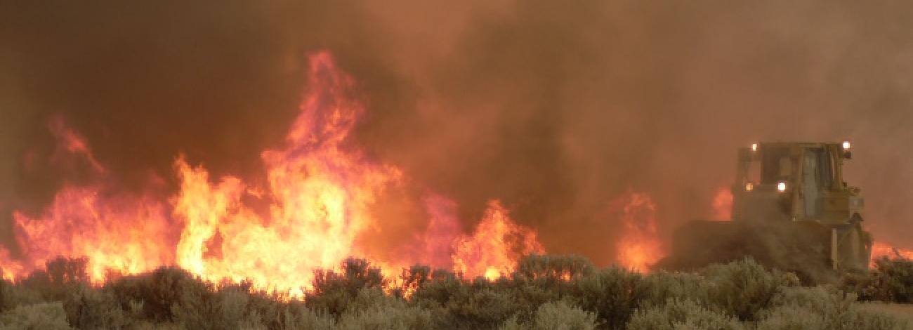 The Thomas fire raging through sagebrush with smoke in the air and a dozer on the right