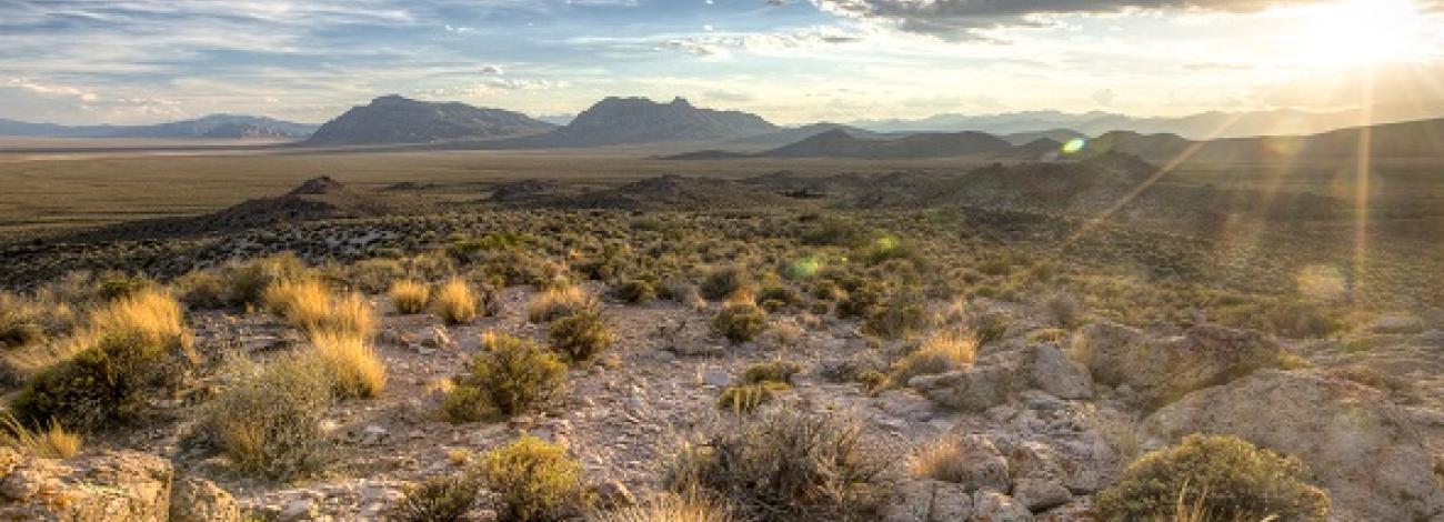 Nevada Basin and Range National Monument