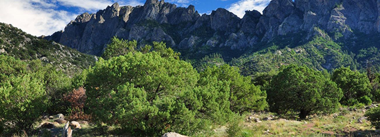 The steep, angular mountain range against a clear blue sky at Organ Mountains-Desert Peaks National Monument.