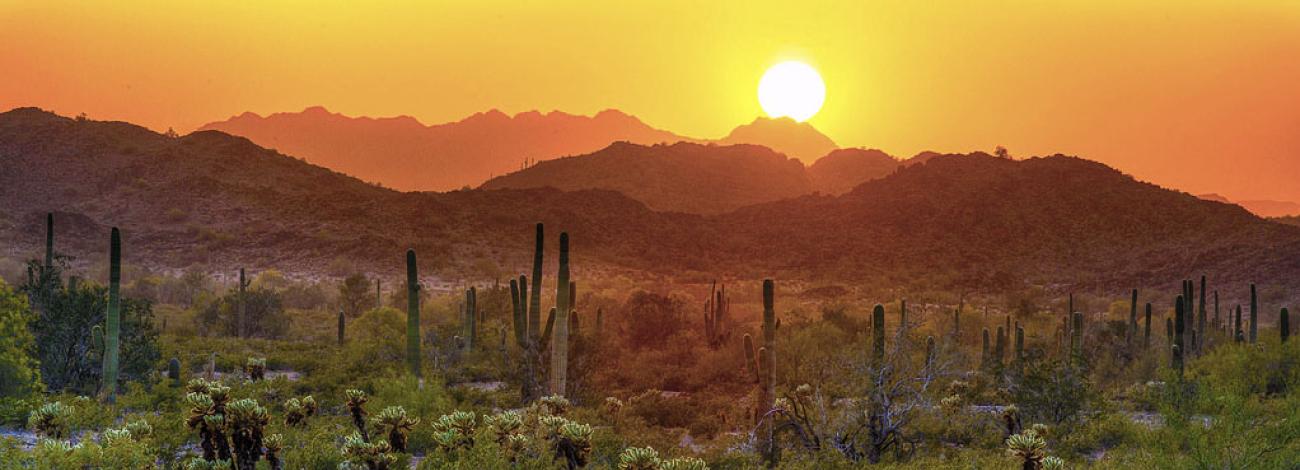 a desert landscape with saguaro cacti and distant mountains. The sun sets behind the mountains