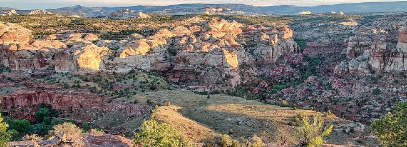 One of the beautiful cliff faces found in Grand Staircase-Escalante National Monument. Photo by Bob Wick.