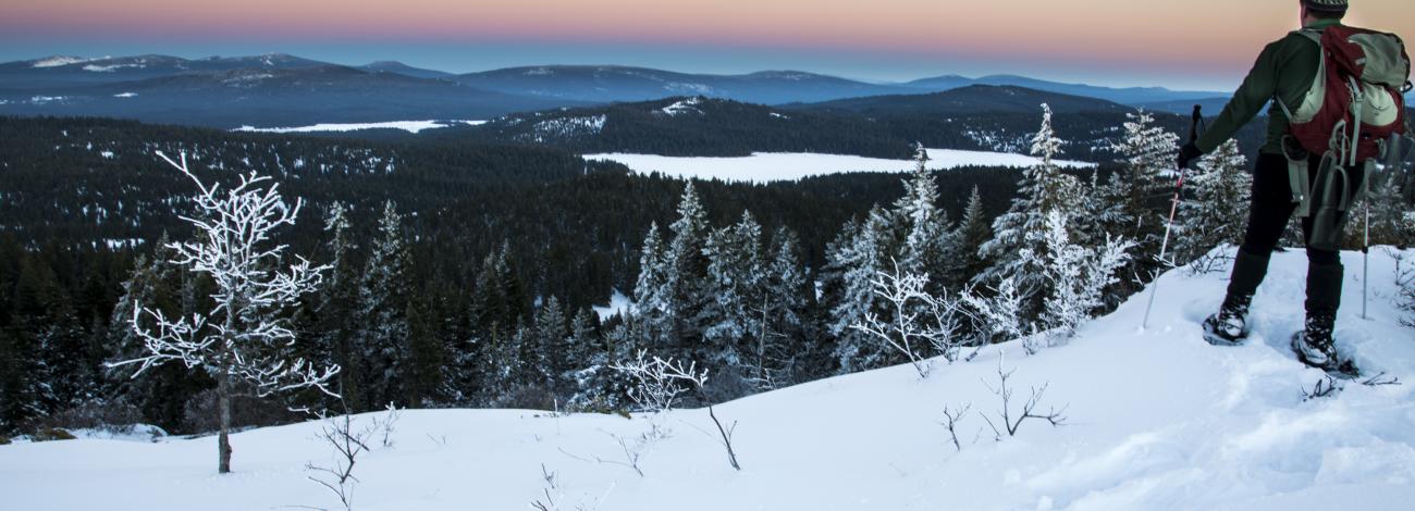 Skier at the top of a ridge looking down at a snowy landscape.