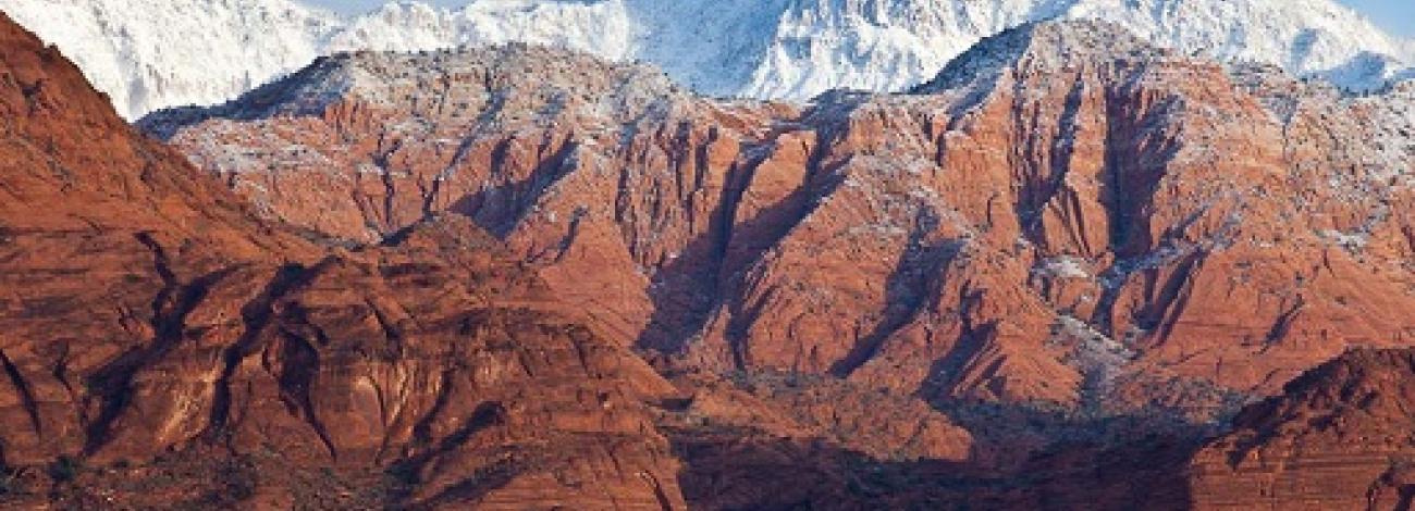 A landscape view of the Red Cliffs National Conservation Area in southwestern Utah, photo by Bob Wick, BLM