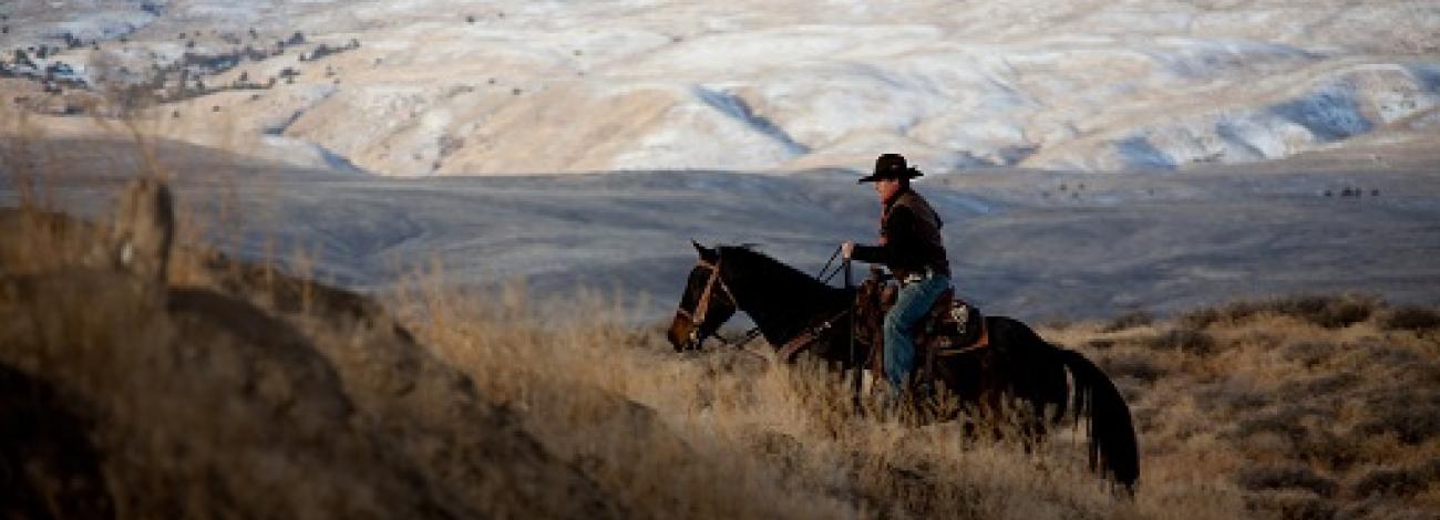 A lone horse rider, Nevada, BLM photo