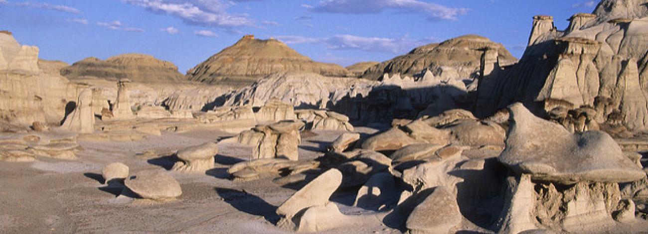 The weathered sandstone hoodoos of the Bisti Badlands against a blue sky.