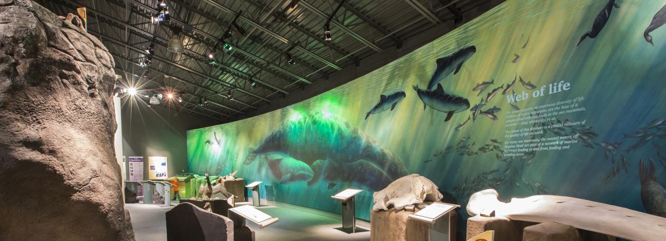 interpretive display and signage