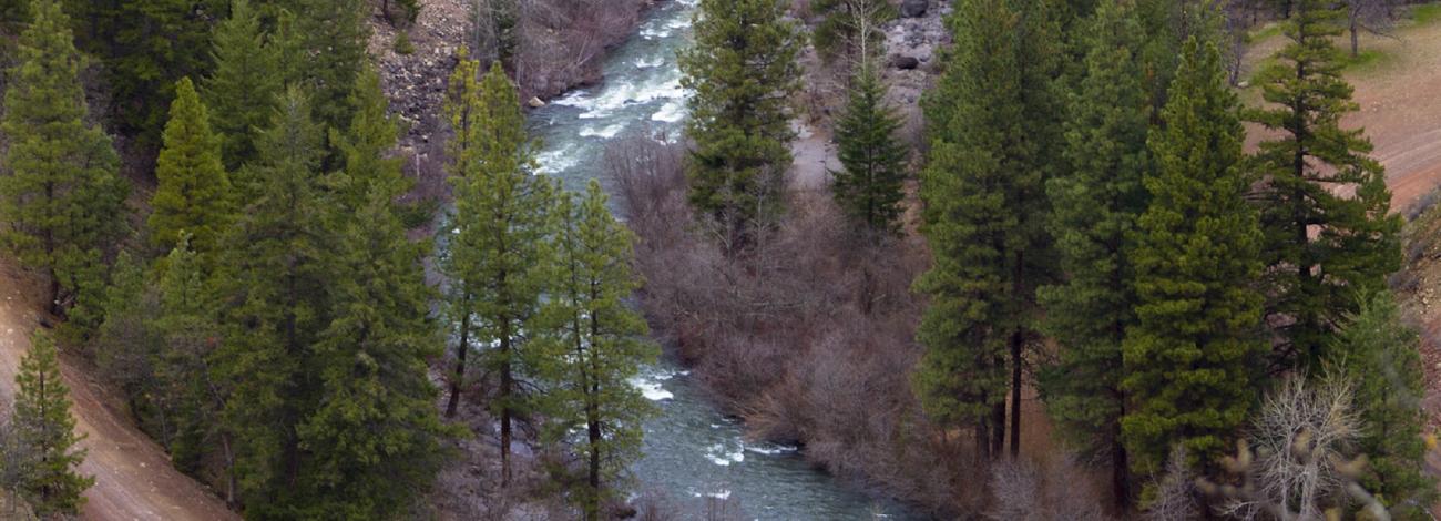 Lower White River Wilderness Area showing a bend in the river and trees