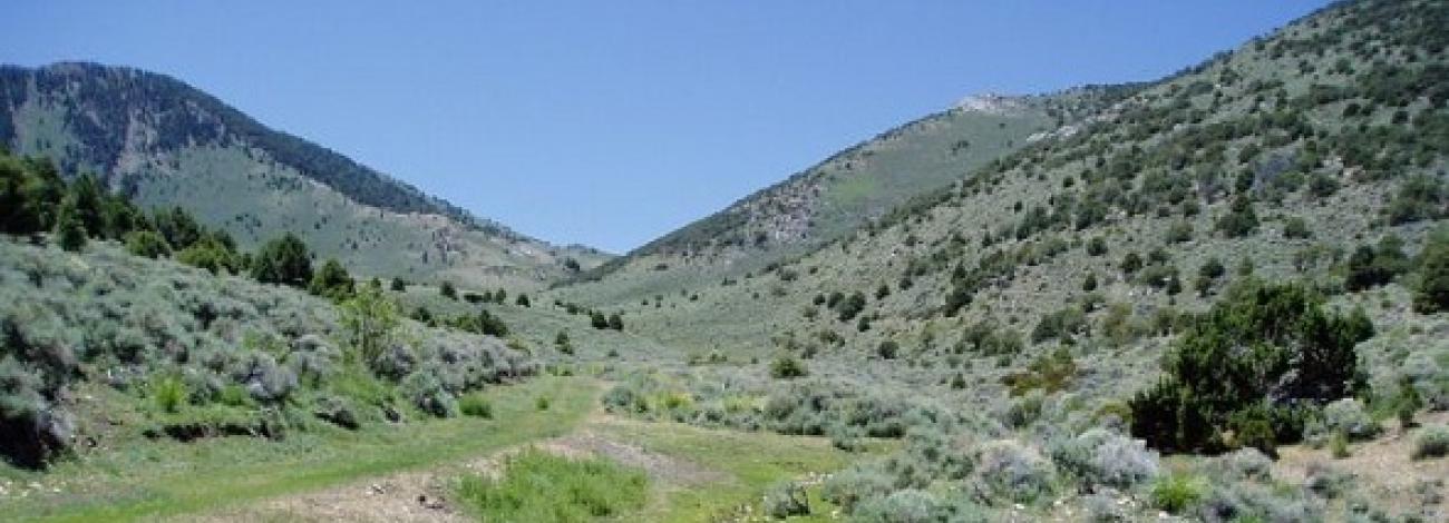 Image looking up through a canyon in the Becky Peak Wilderness area with grass, shrubs and trees on both sides of the trail and multiple mountains ahead