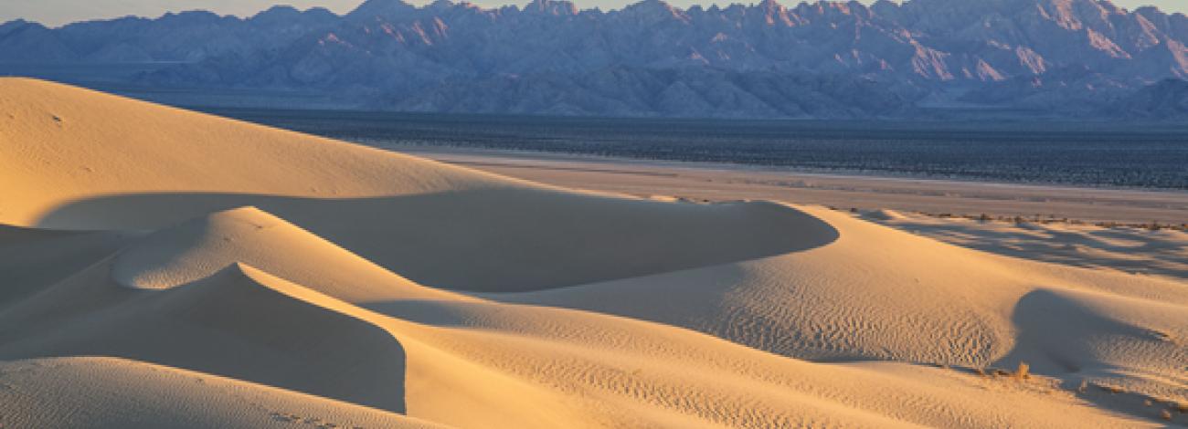 Sand dunes with jagged mountains in the distance.