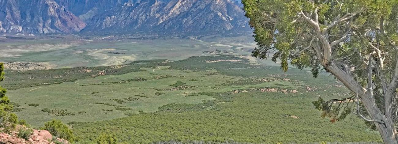 Mountain in background with large green valley below