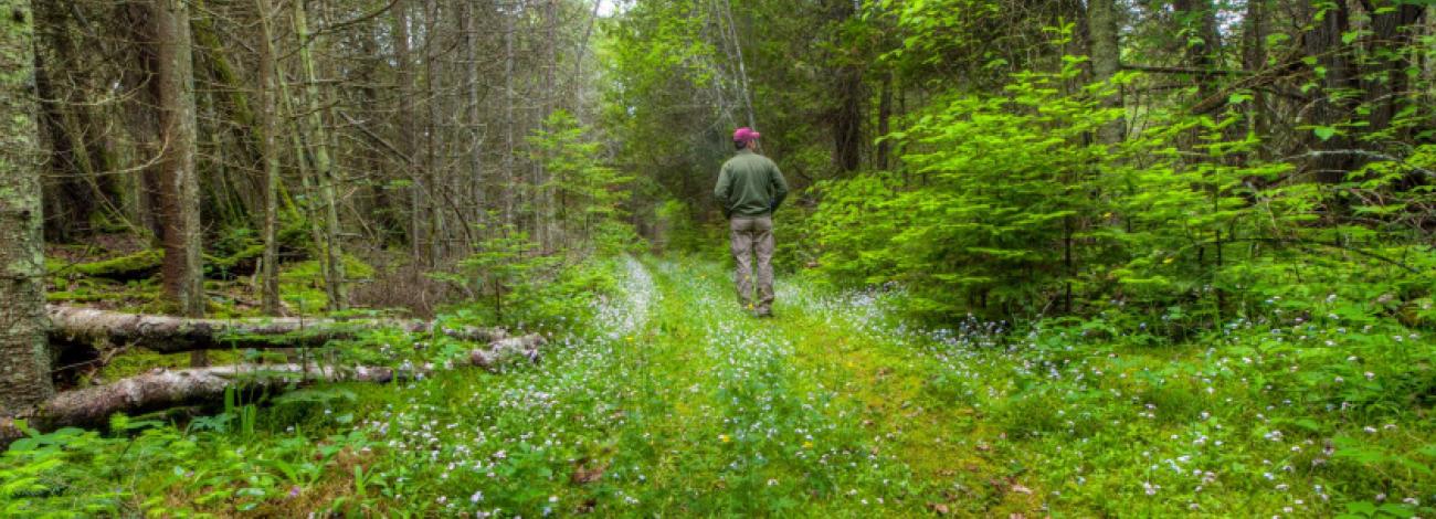 Thunder Bay Michigan