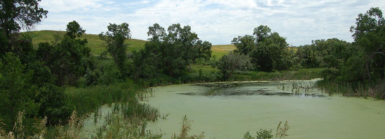 Schnell Recreation Area