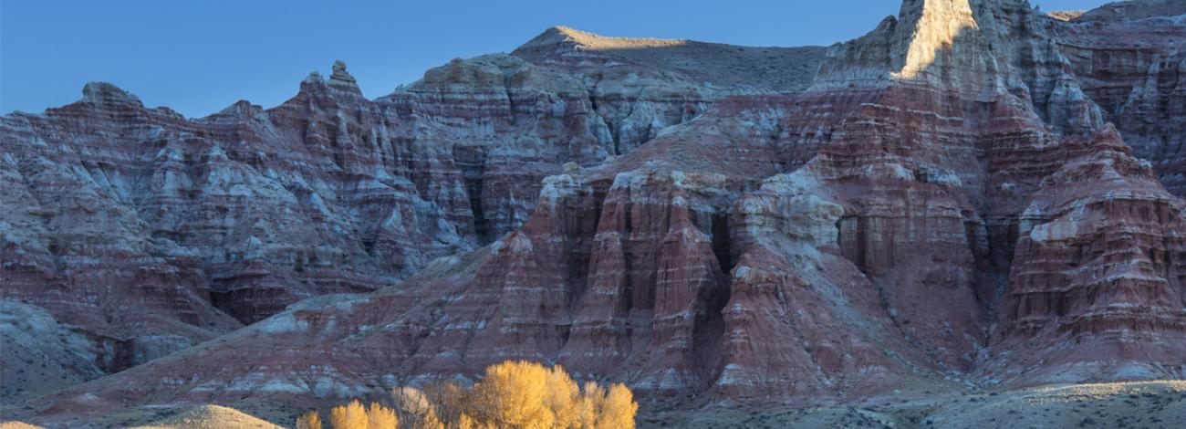 Rock spires and autumn aspen trees at the Dubois Badlands WSA