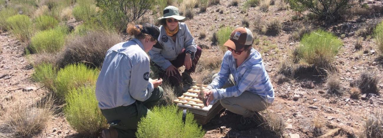 New Mexico SOS team