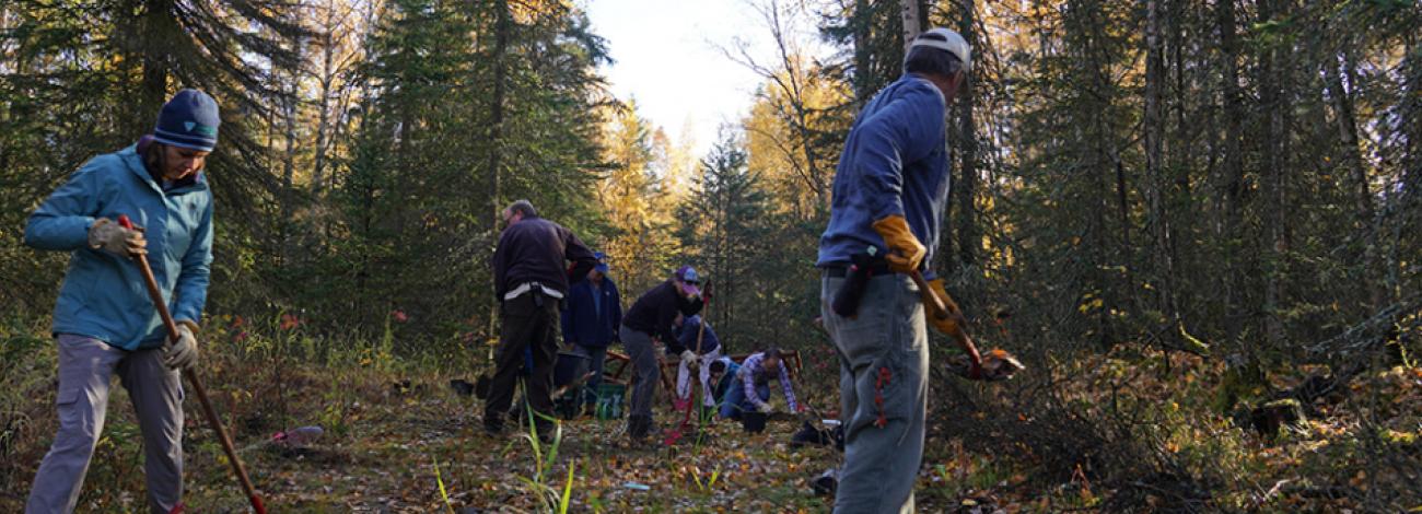 National Public Lands Day volunteers working on a revegetation project