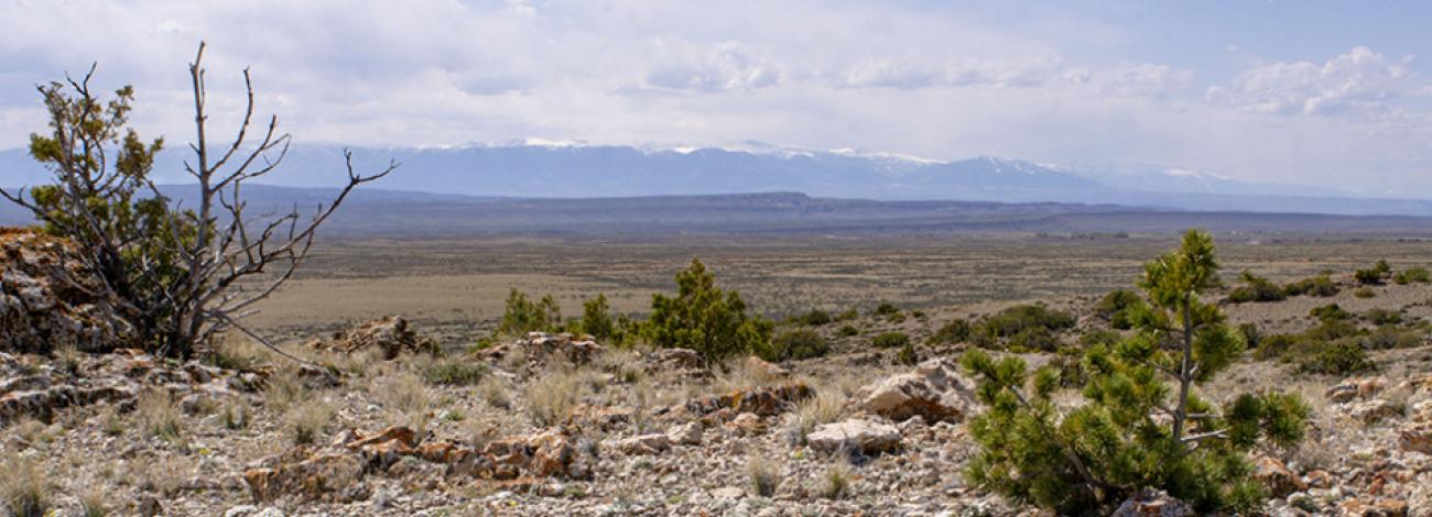 Pryor Mountains