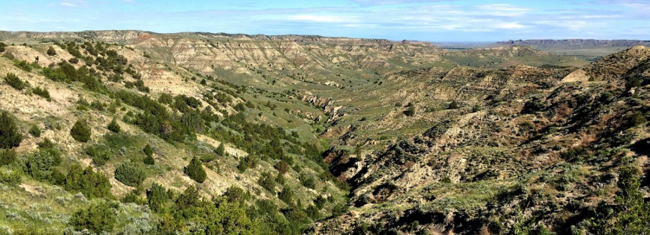 FORTIFICATION CREEK WILDERNESS STUDY AREA