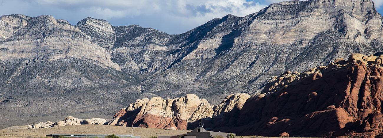 View of Calico Hills ant Turtlehead Peak