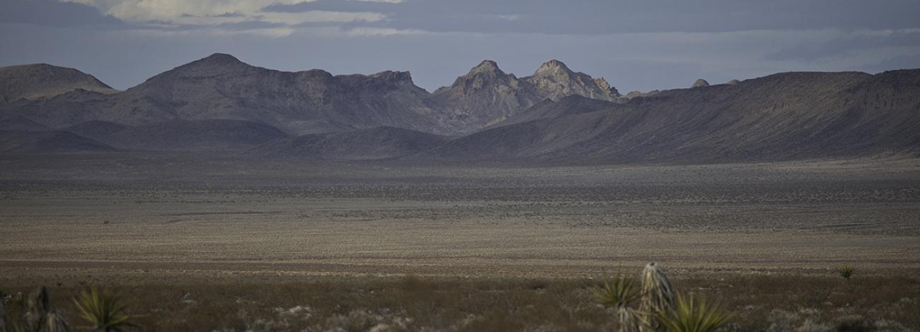Landscape of Sloan Canyon National Conservation Area. Photo by Bob Wick/BLM