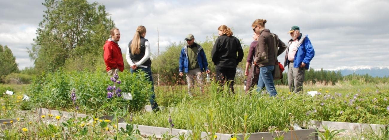 National Seed Strategy | Bureau of Land Management