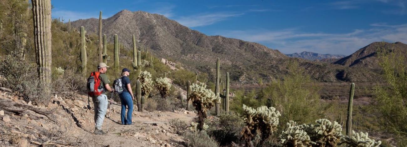 Two hikers on a gravel trail surrounded by saguaro and cholla with mountains in the background