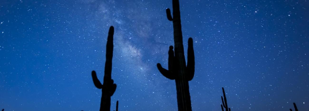 Night skies on the Sonoran Desert National Monument