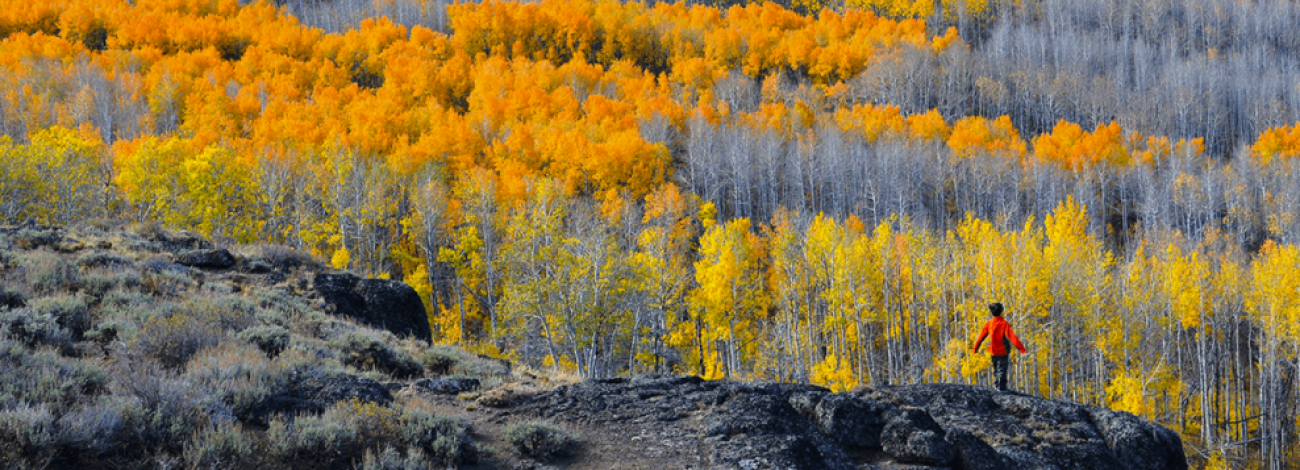 Viewing the fall colors on Steens Mountain from Fish Creek Canyon