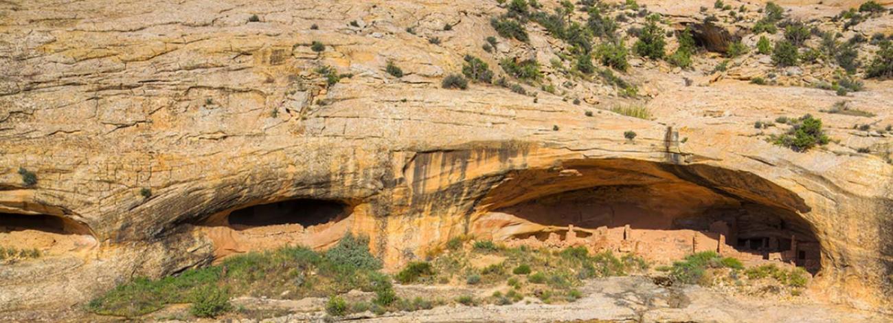 stone walls of archeological buildings stand in the shadows of two deep alcoves or pockets in a yellow sandstone cliff.