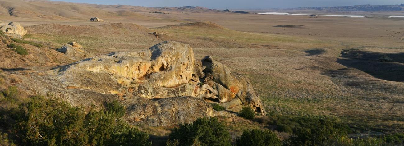 Carrizo Plain National Monument is one of the best kept secrets in California. (Bob Wick/BLM)