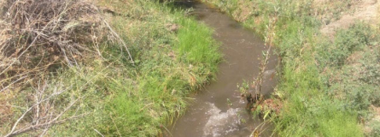 COTTONWOOD CREEK WILD AND SCENIC RIVER