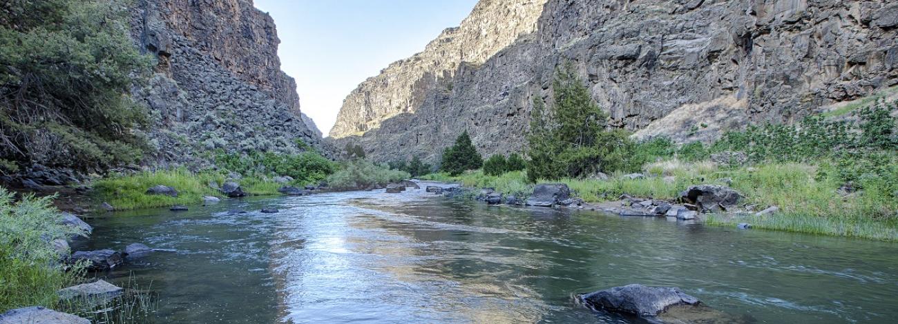 Bruneau Wild and Scenic River