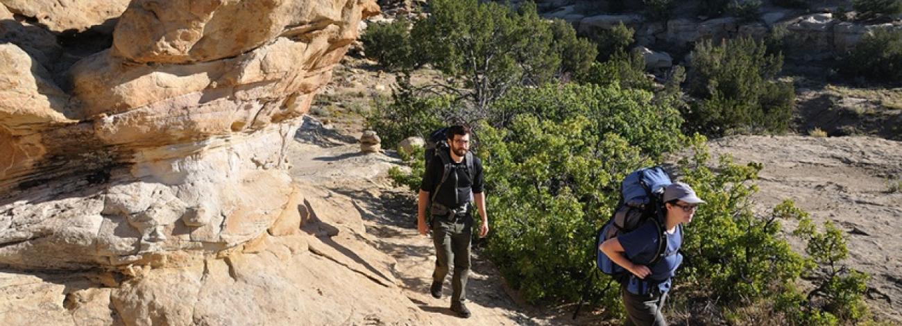 Two hikers walking along a single track trail