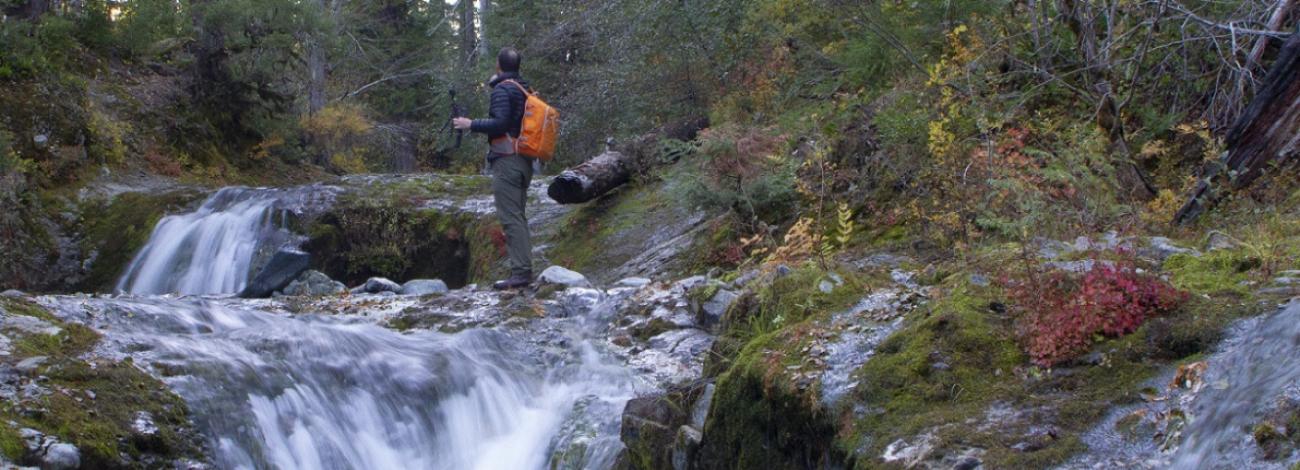 North Fork Silver Creek Wild and Scenic River