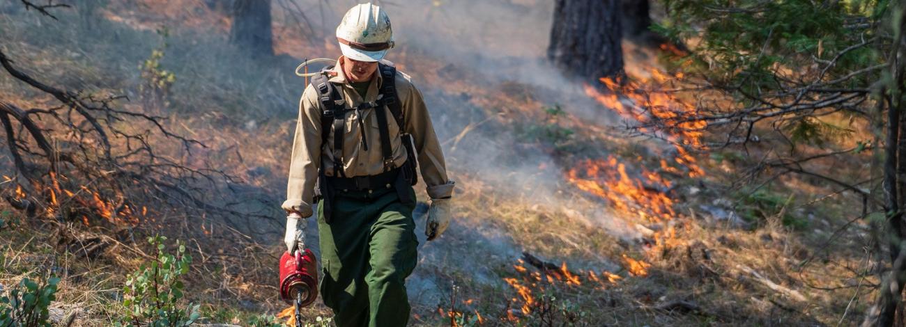 firefighter with drip torch