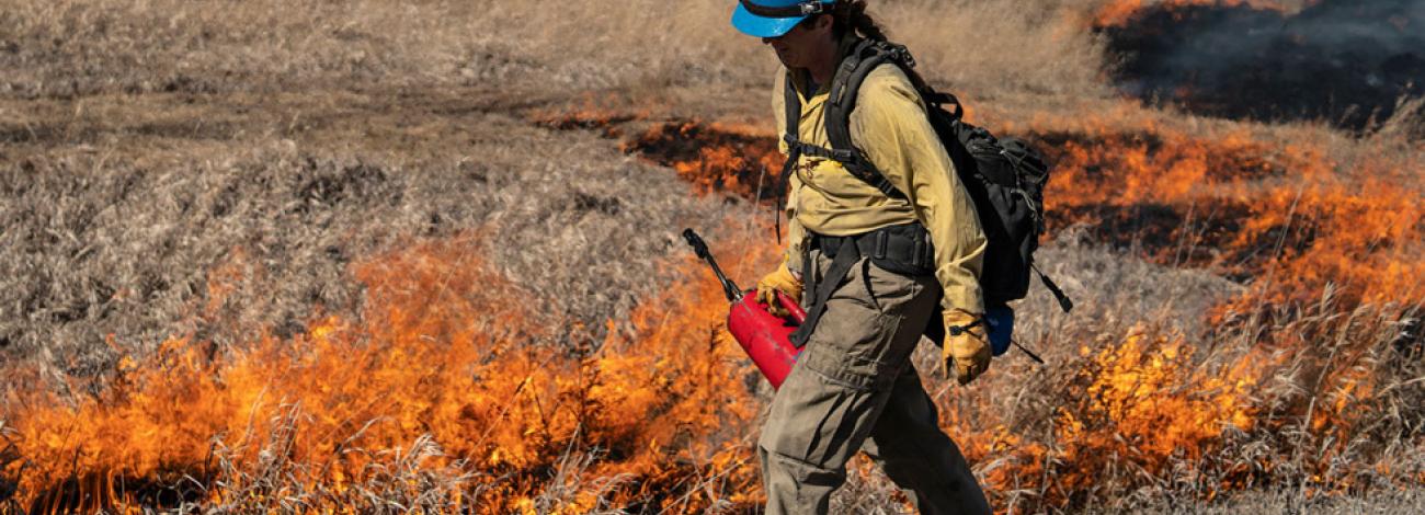 Pompeys Pillar National Monument Prescribed Fire. Photo by Colby Neal, BLM