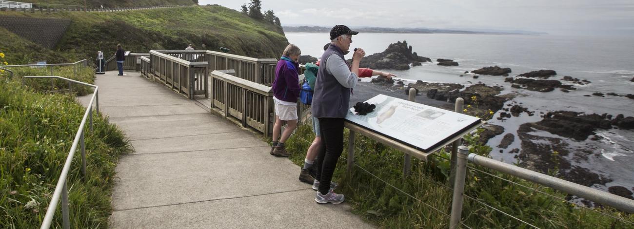 Yaquina Head