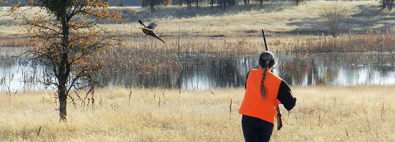 A woman carries a rifle as she watched a pheasant take flight.  (BLM Photo)