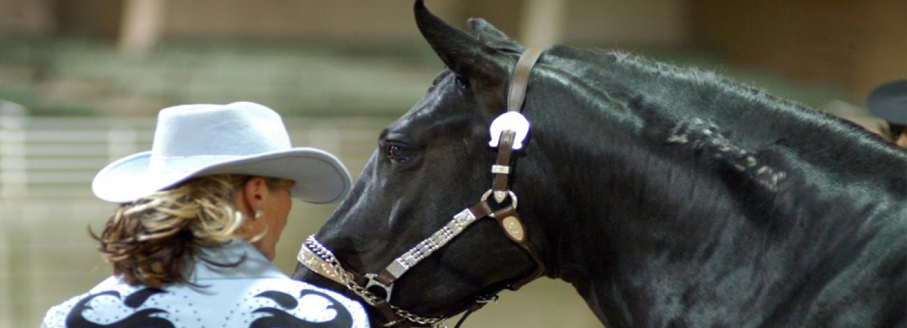 A show rider in blue and white standing in front of her horse