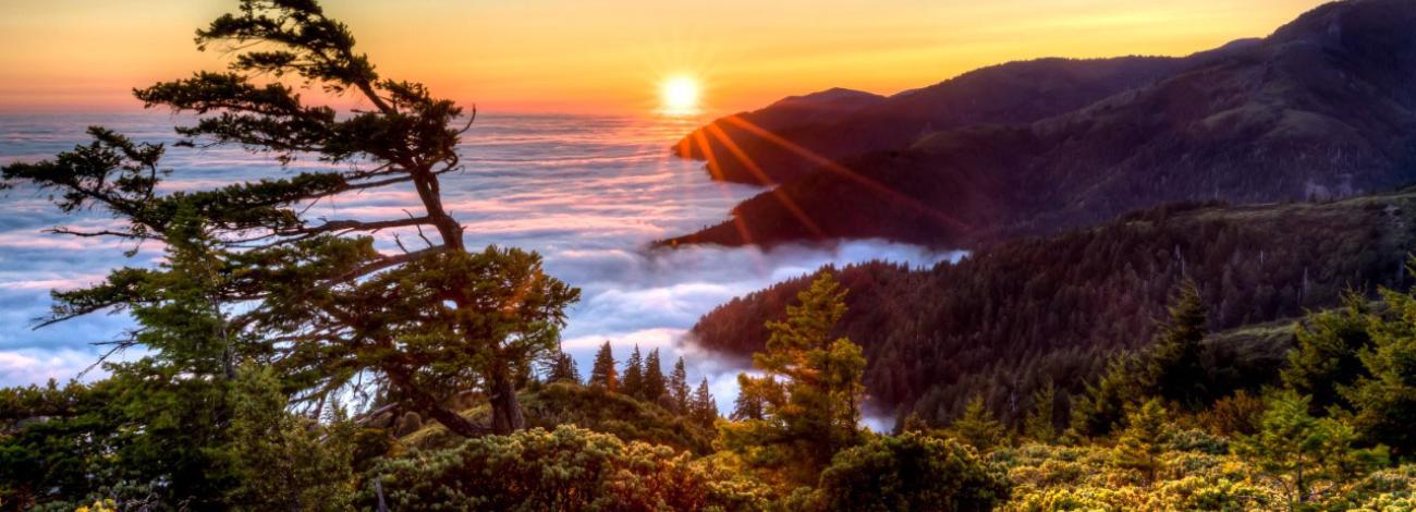 King Range NCA overlooking fog on a sunset