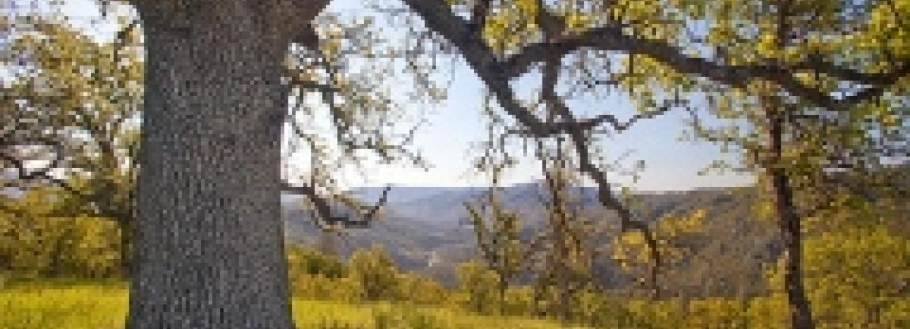 Berryessa National Monument