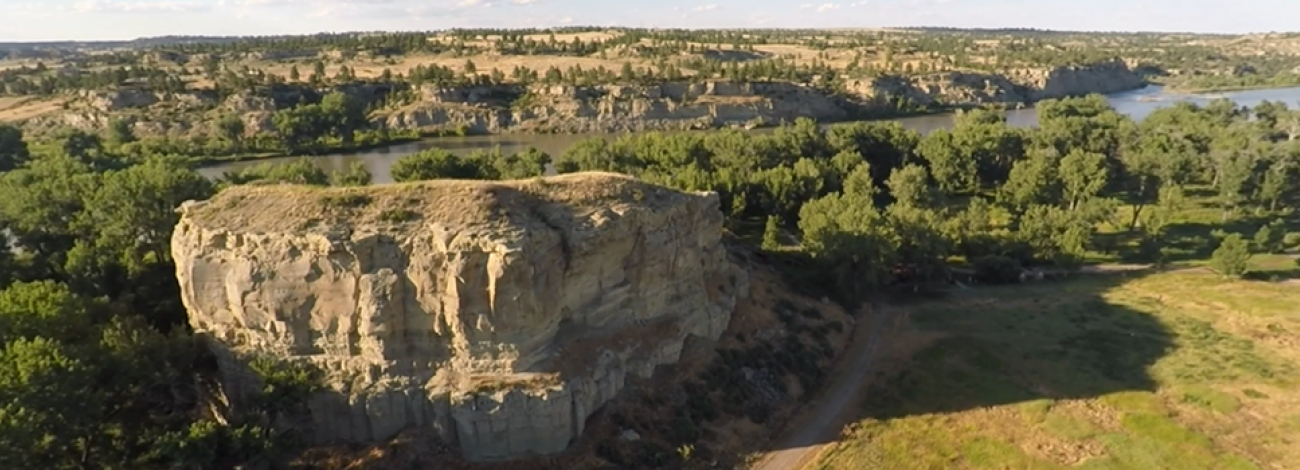 Aerial view of Pompeys Pillar