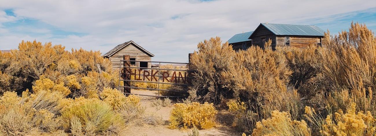 Shirk Ranch fence