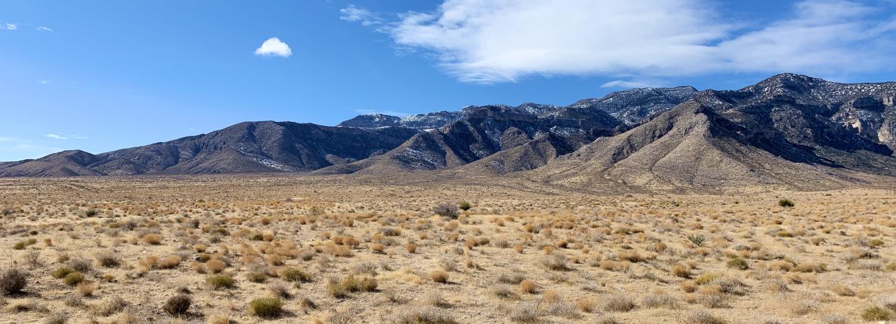 View of Cottonwood Valley